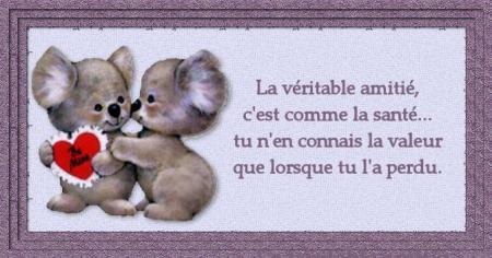 la veritable amitier...........